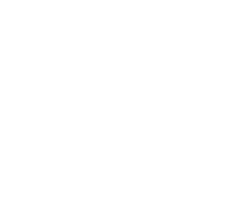 Florida Bar Badge
