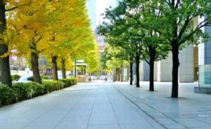Where Should Pedestrians Walk if there is No Sidewalk?